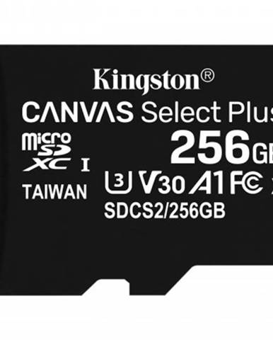 Micro SDXC karta Kingston Canvas Select Plus 256GB