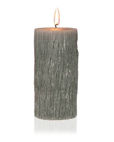 Dekoratívna sviečka v tvare dreva Versa Tronco Ria