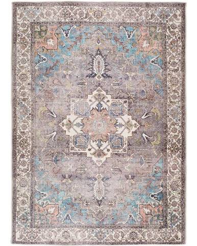 Modro-hnedý koberec s podielom bavlny Universal Haria, 200 x 290 cm