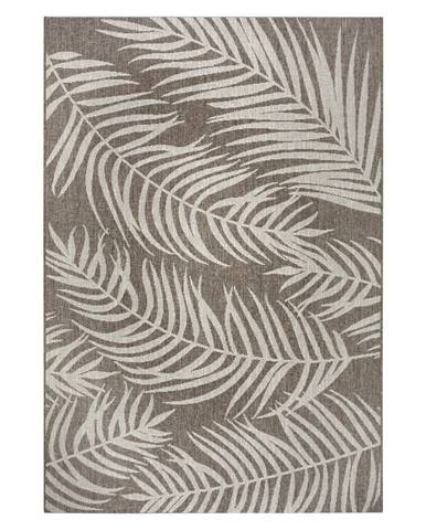 Hnedo-béžový vonkajší koberec NORTHRUGS Palmera, 140 x 200 cm