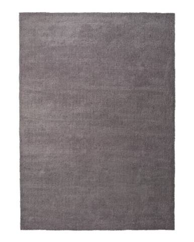 Ručne tufovaný koberec Universal Shanghai Stone, 200 × 290 cm