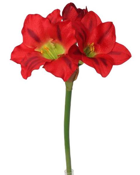 Albani Umelá Amarylis červená, 52 cm