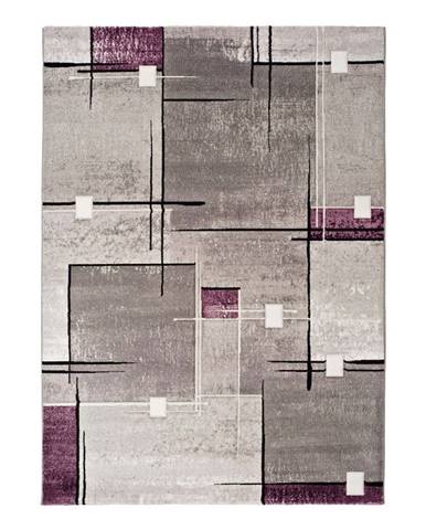 Sivo-fialový koberec Universal Detroit, 140 x 200 cm
